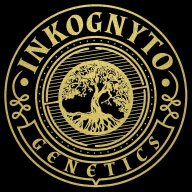 inkognytogenetics