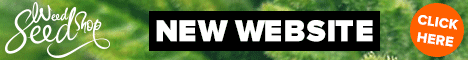 WeedSeedShop