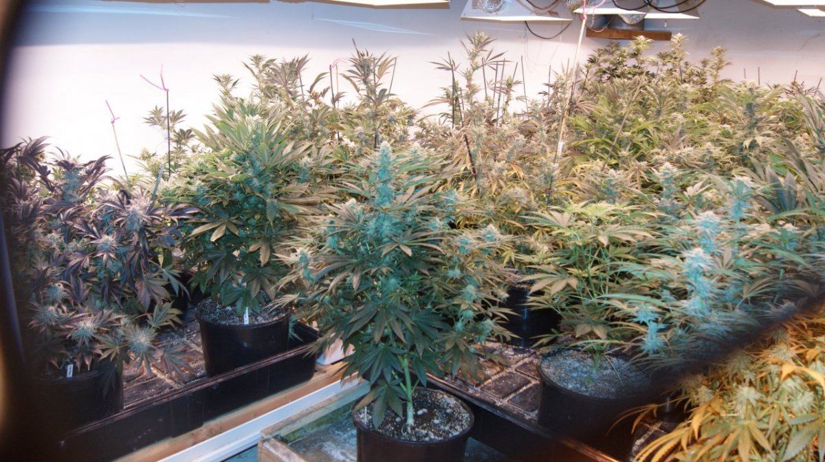 001 2