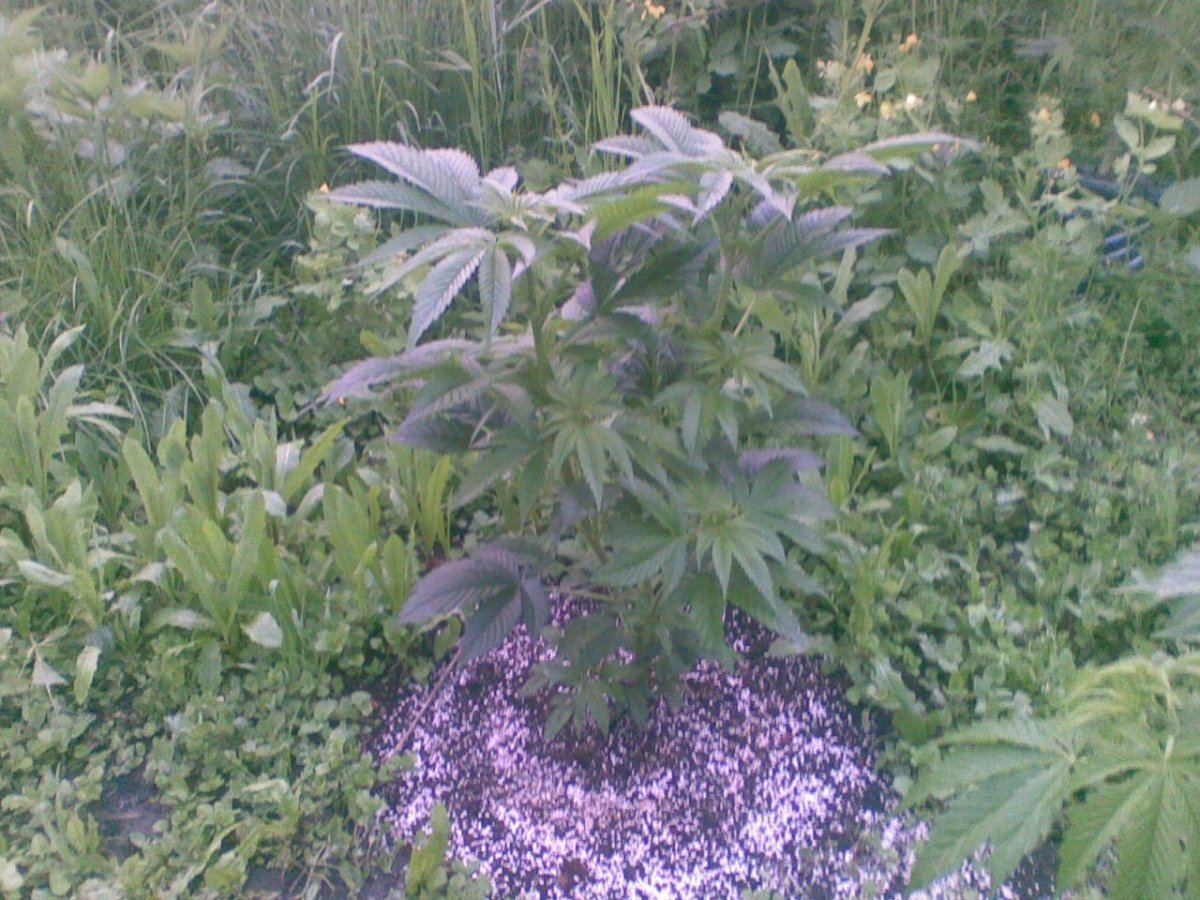 01052014006