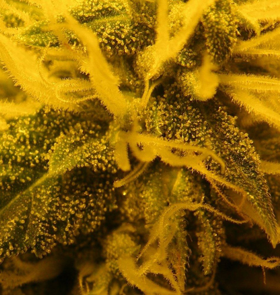 010R