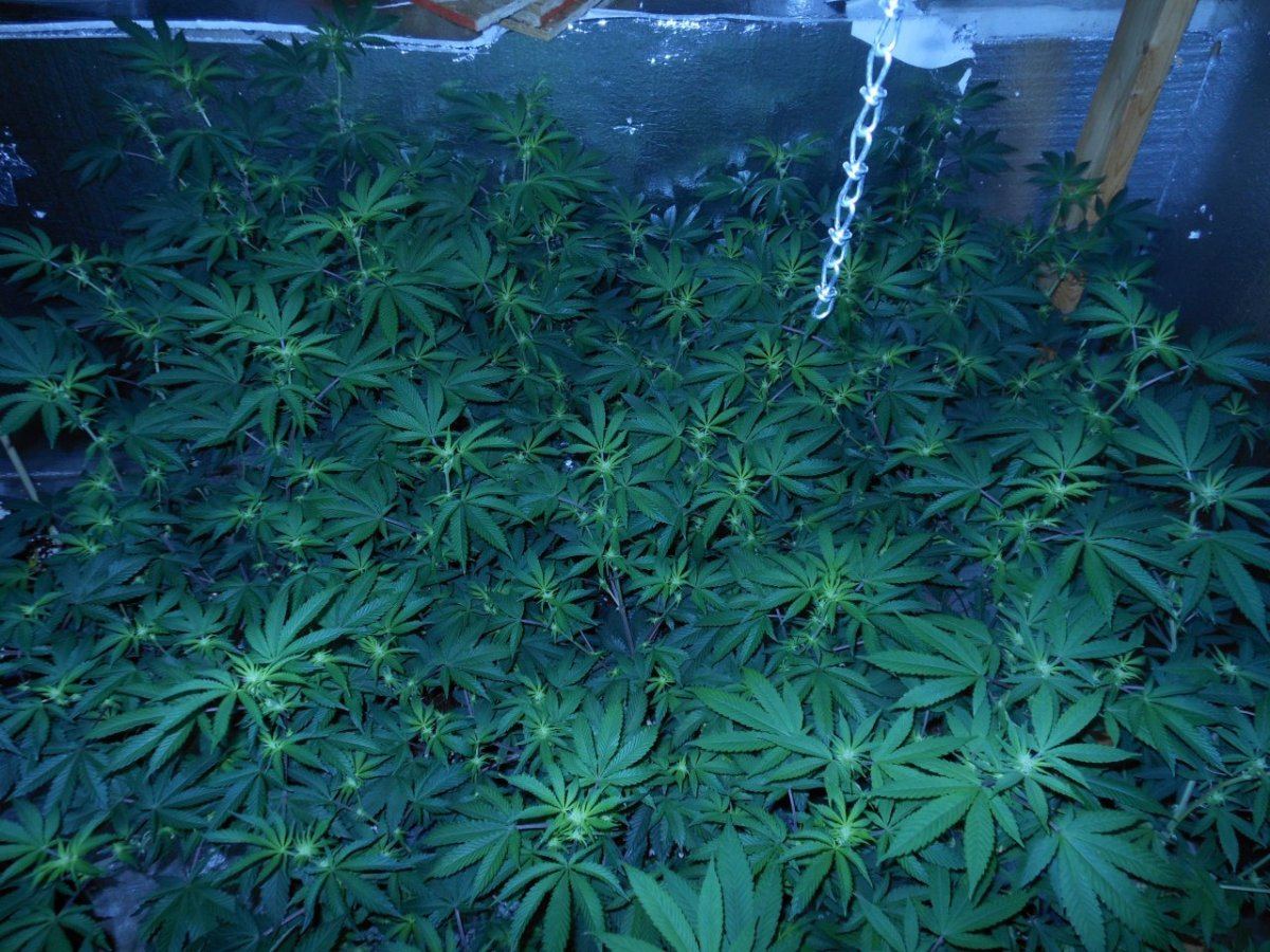 011