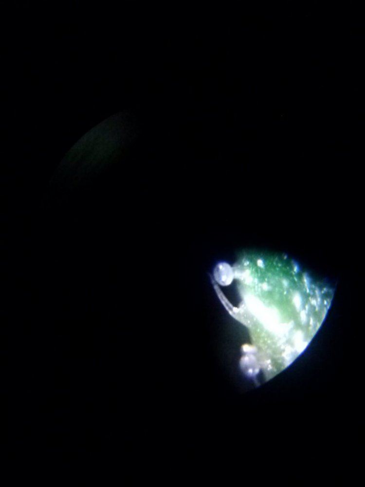 0125152027