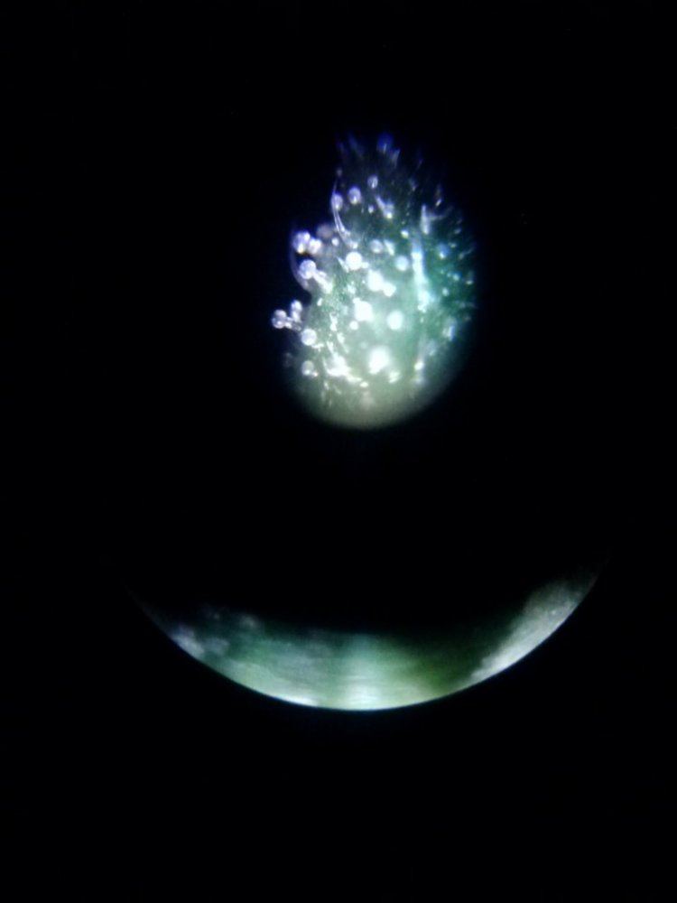 0125152028b