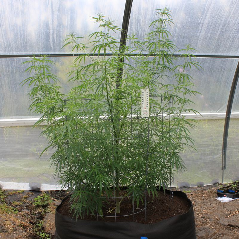 014 5 Chem91