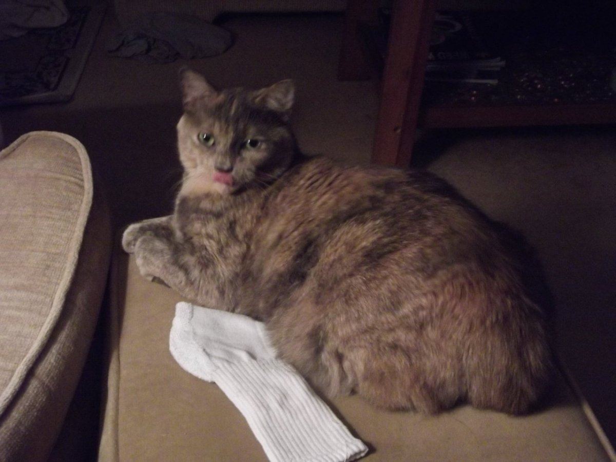 015