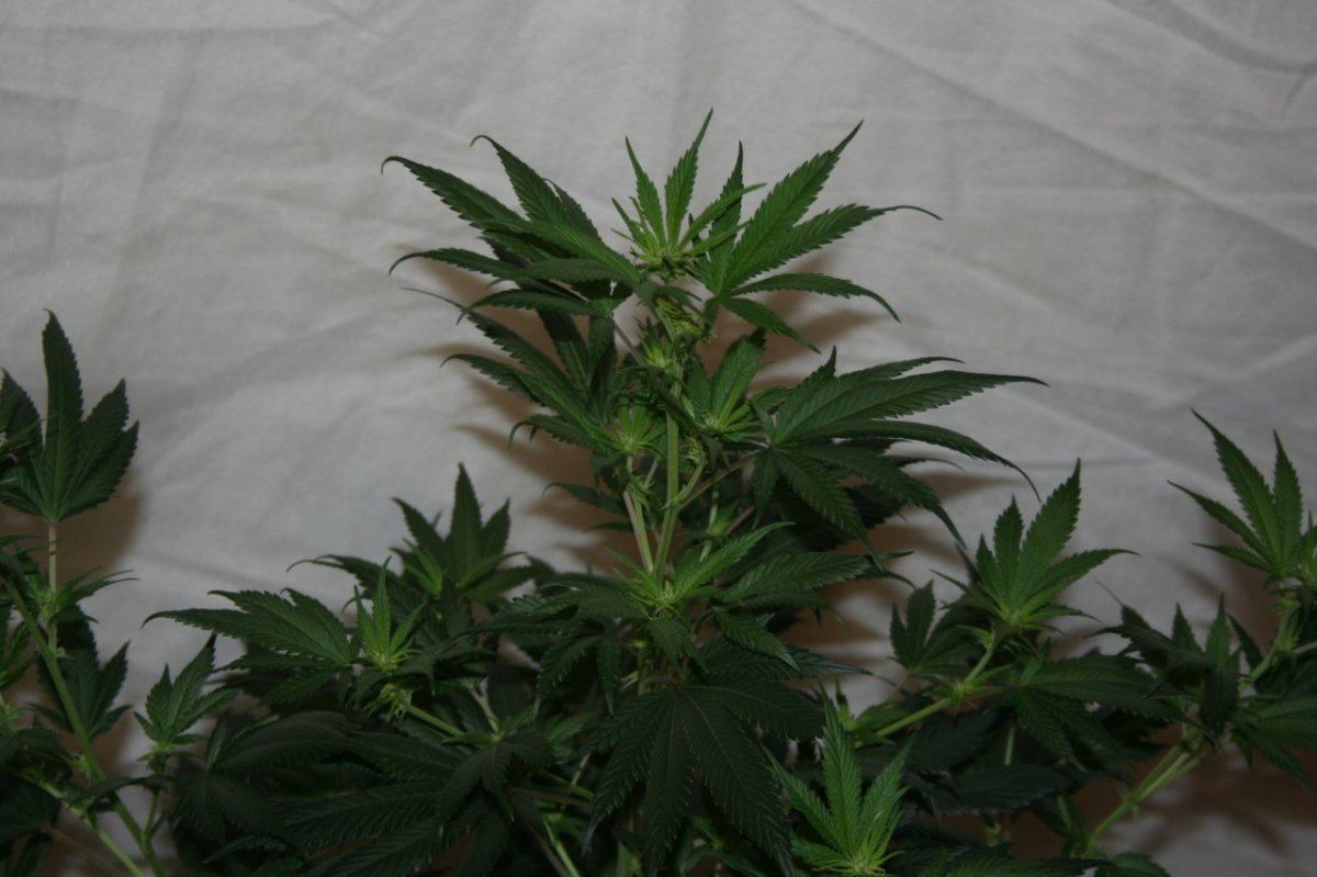 021