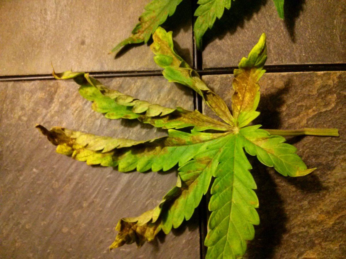0210152141