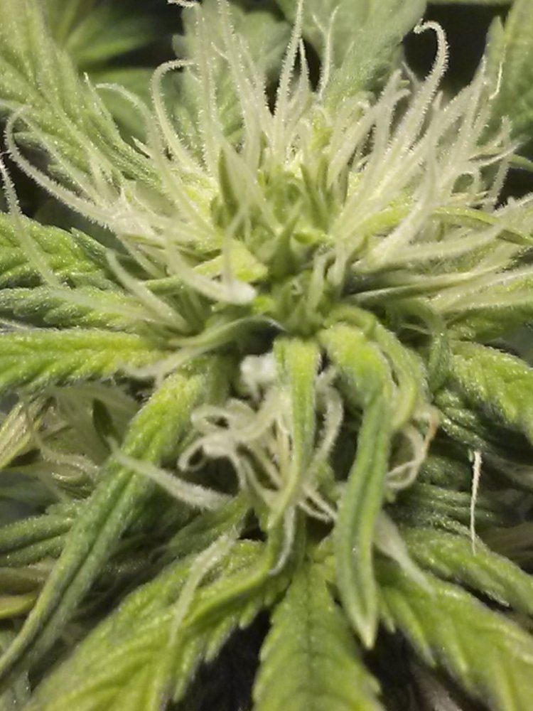 0221150912b
