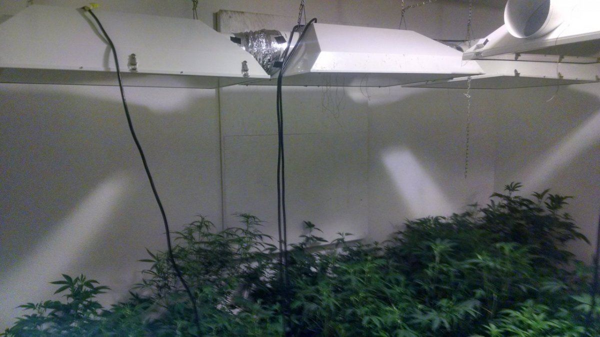 031