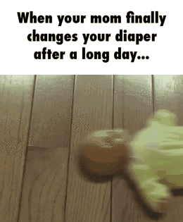 031215 292
