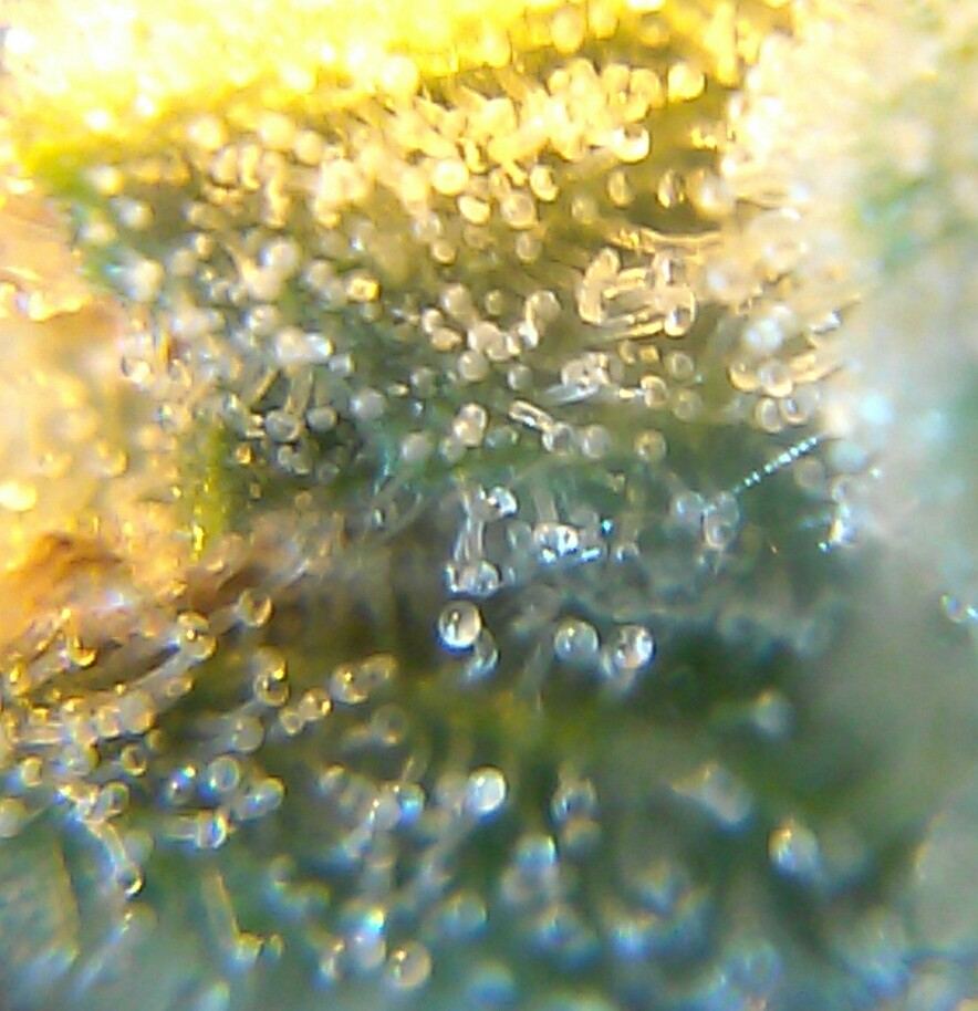 0316142047c 2