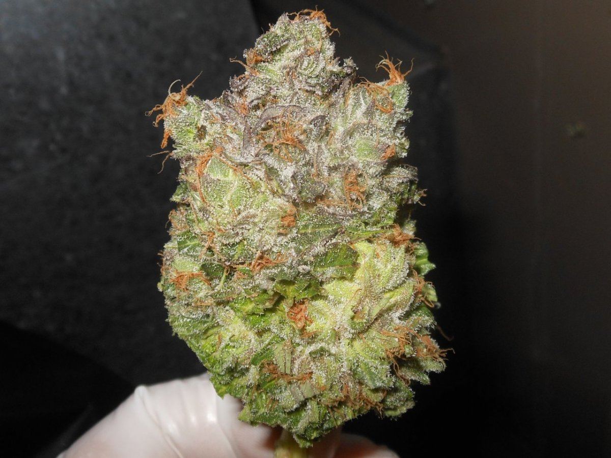 039