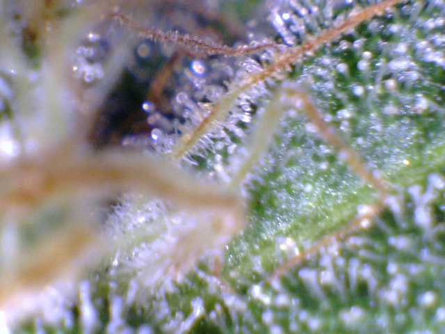 040812a