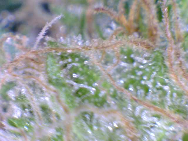 040812sb1