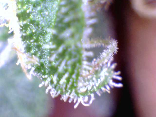 040812sb2
