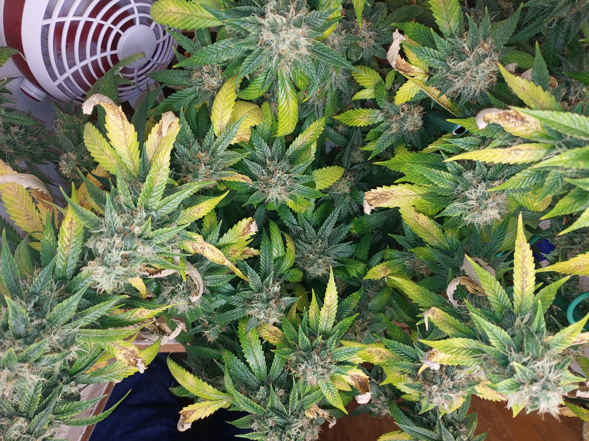 0412211840a
