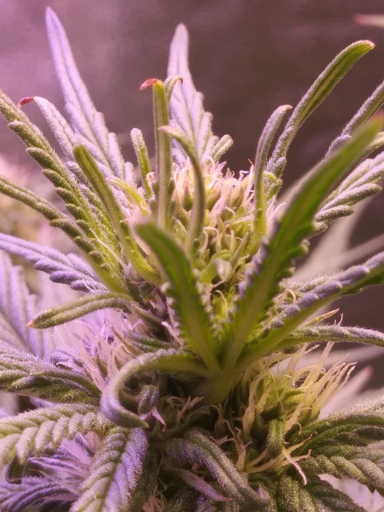 0614181606b
