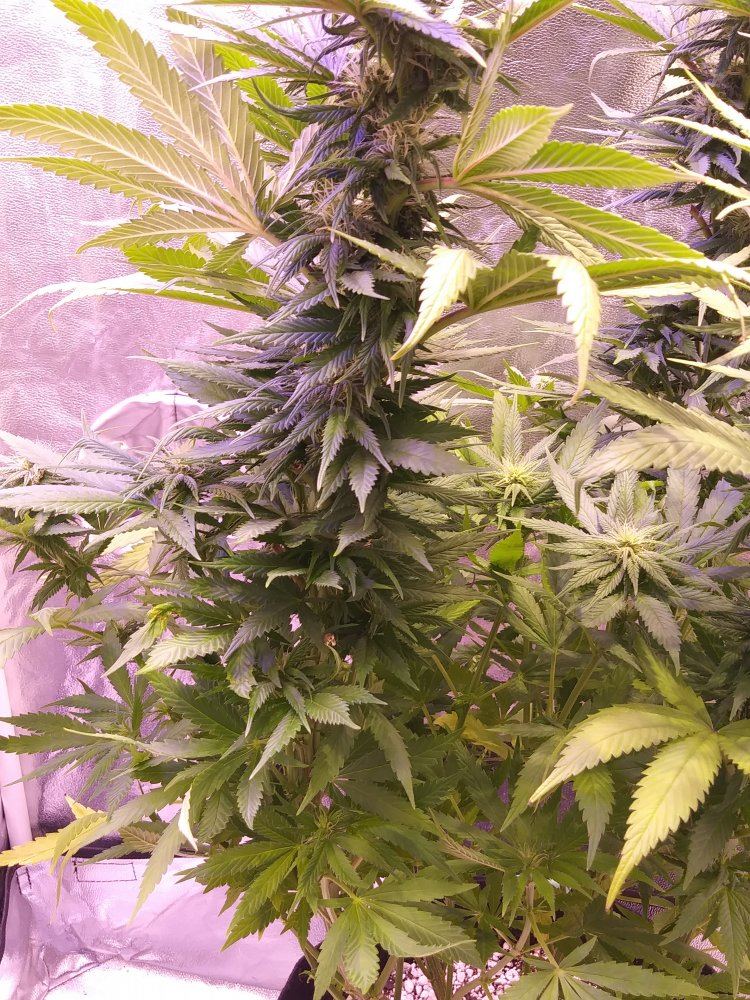 0614181607a