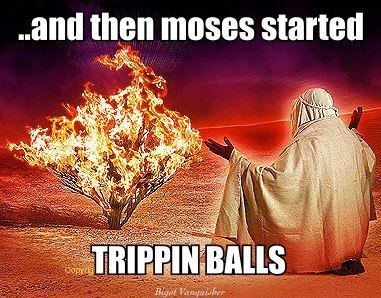 062 Then Moses Started Tripping
