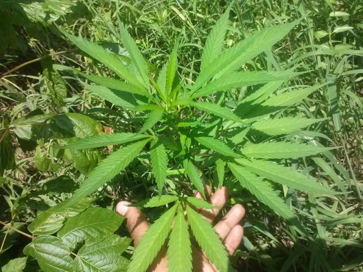 0724131201a