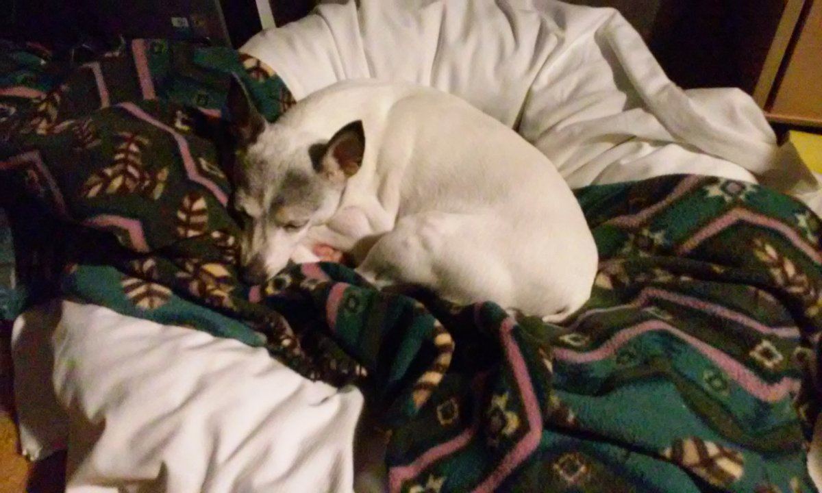 0726180639