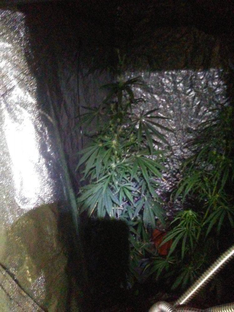 0727170952a