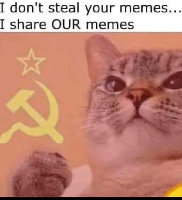 07ELON MEMES2 02 articleLarge