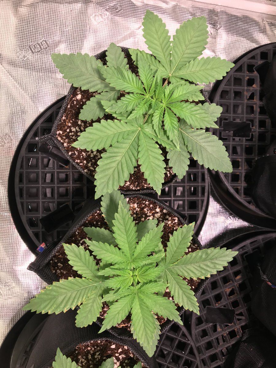 07F82F09 F9B0 4C22 8382 45DA7A4417D6
