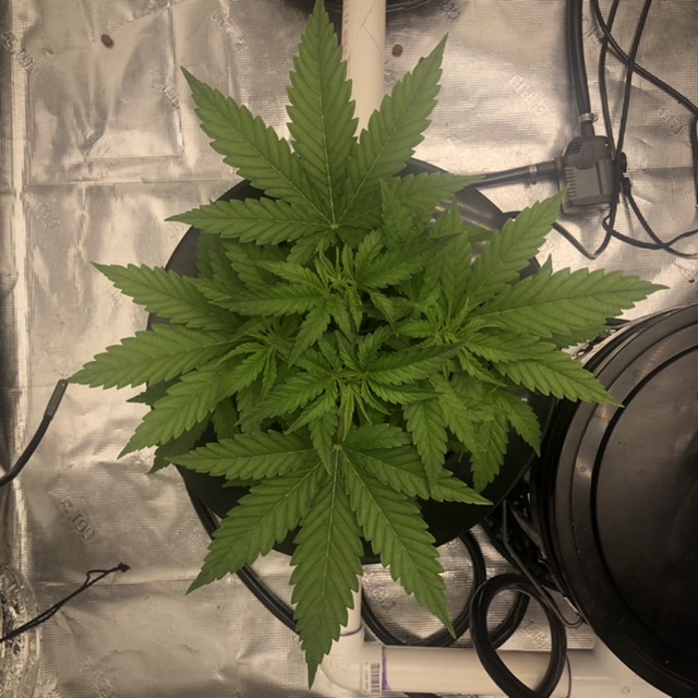 0802A2