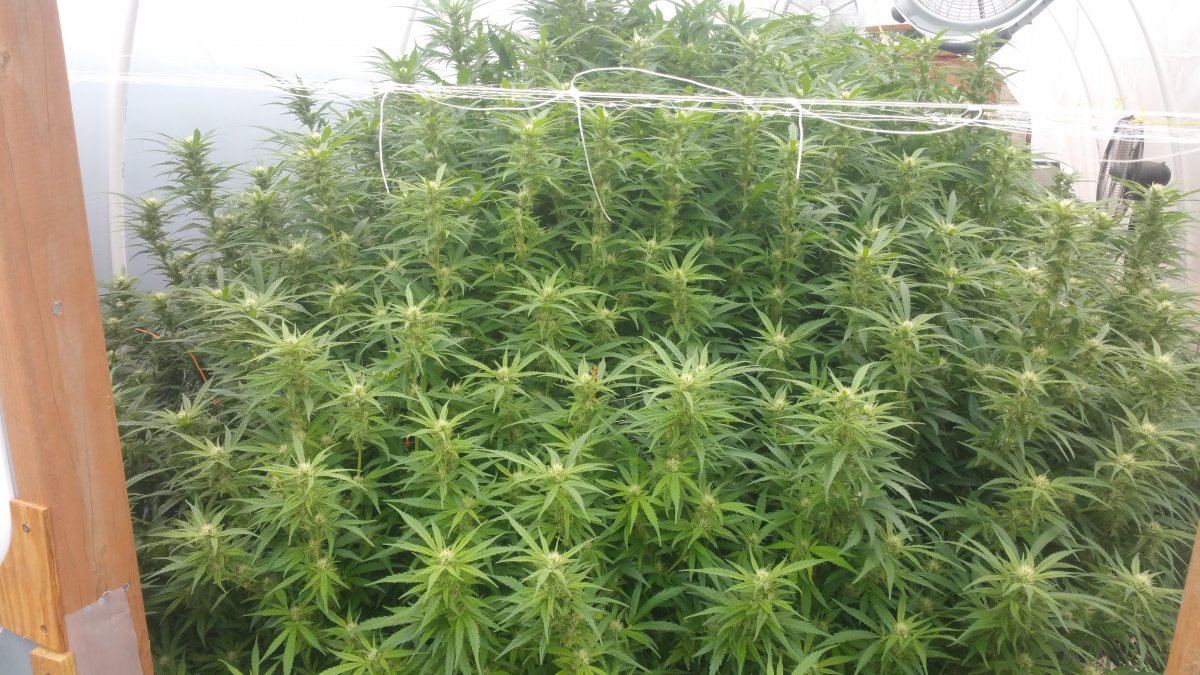 09232016a