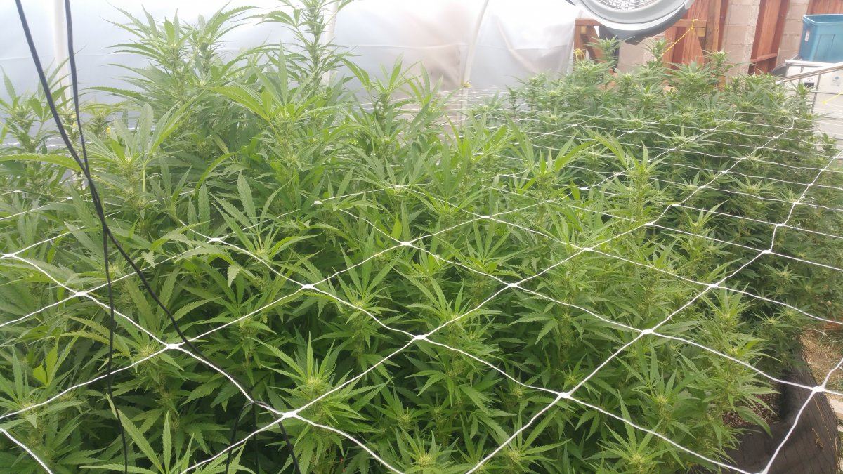 09232016e