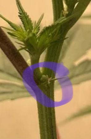 0AADA5CE 290B 4840 BECC 5A9E393A7CBD