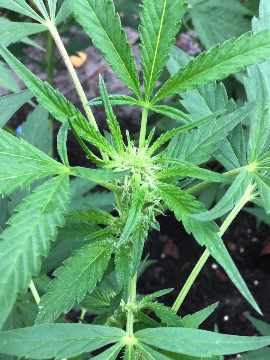 0DF1CBD9 18EB 4B89 97CA D95CFA6929DA