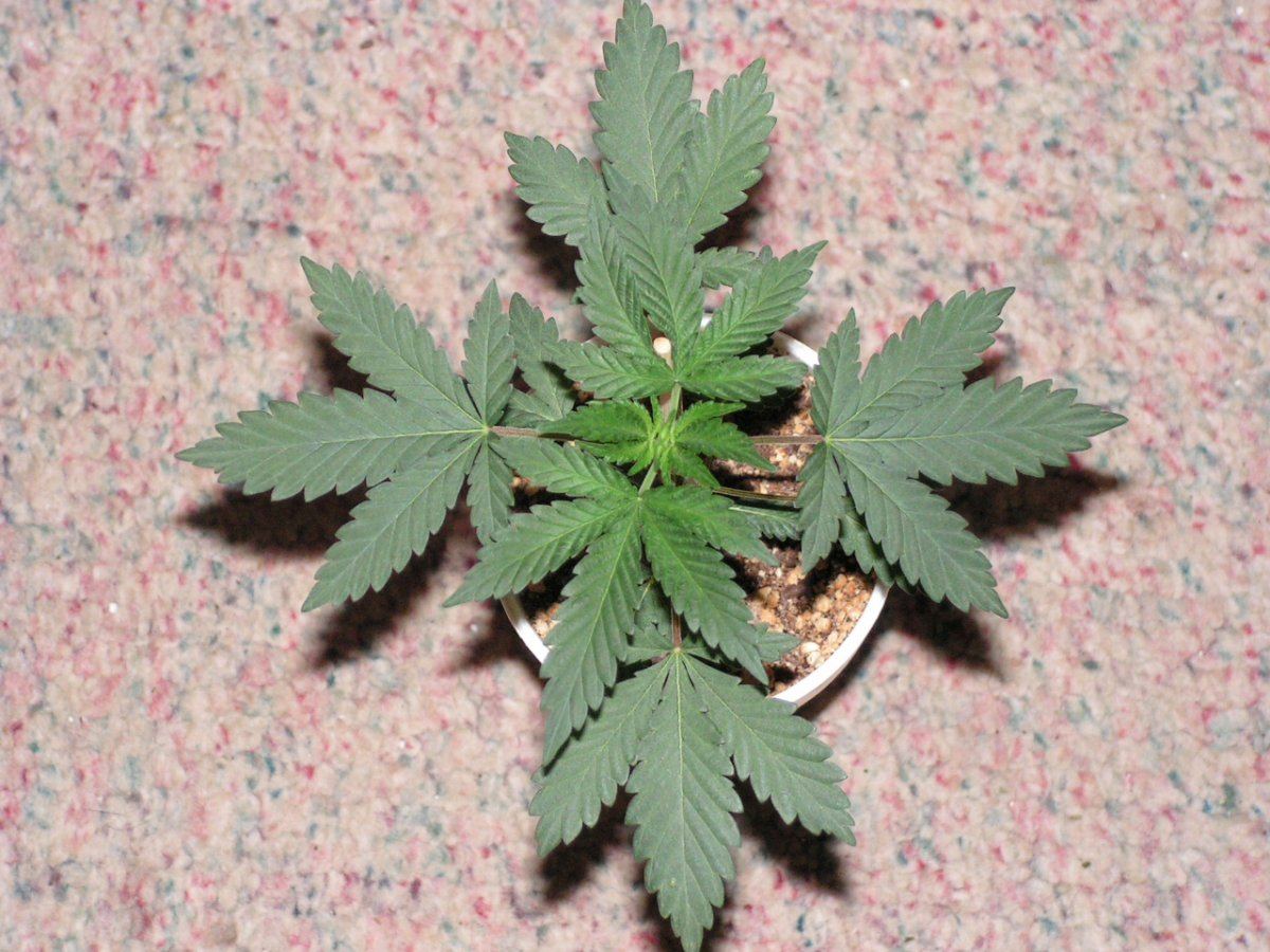 1 2