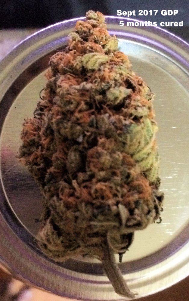 1 31 18 Sept GDP Bud