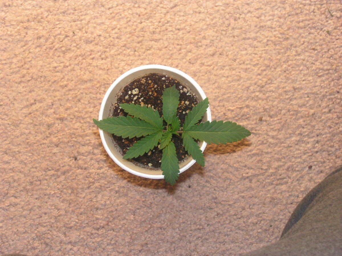 1 5