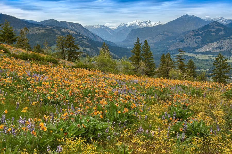 1 methow valley spring bill johnson
