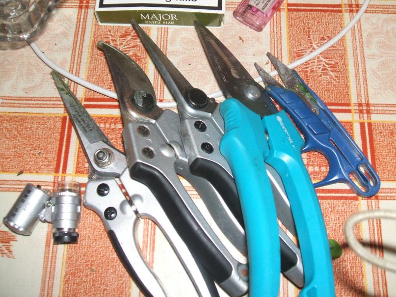 1 trim scissors