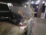10 point