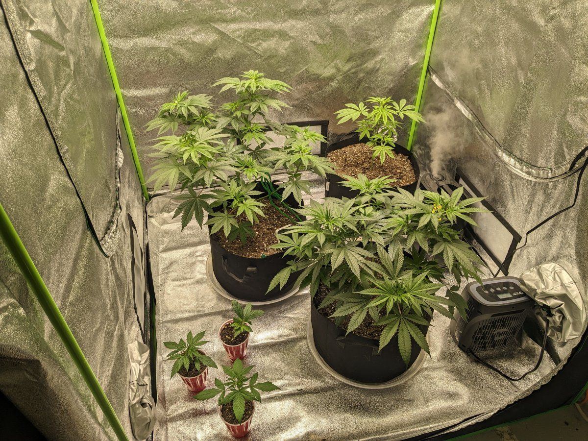 1000000457
