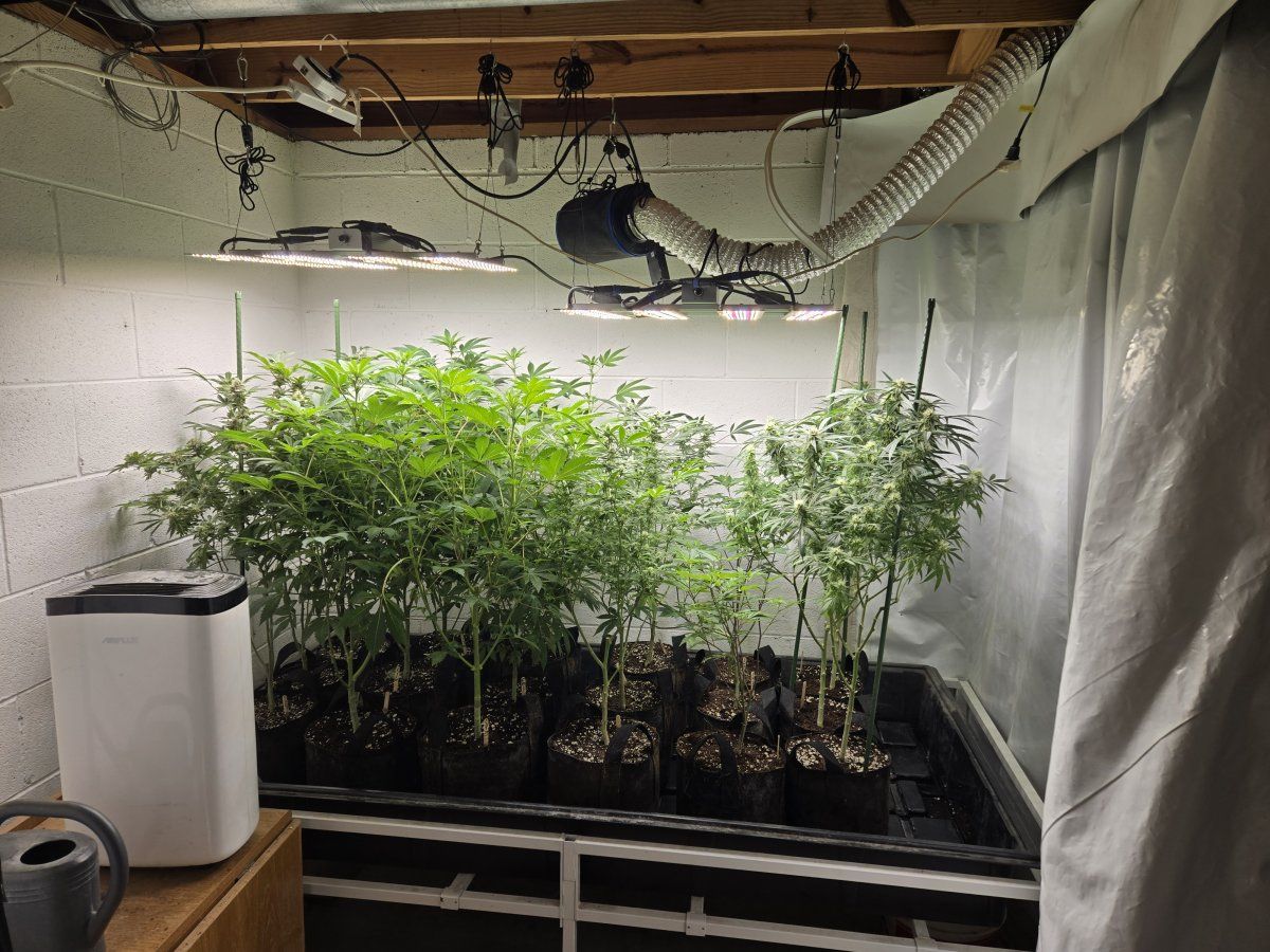 1000000596