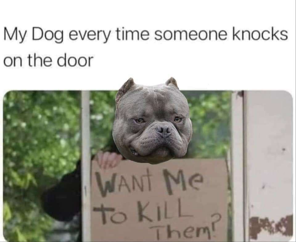 1000001364