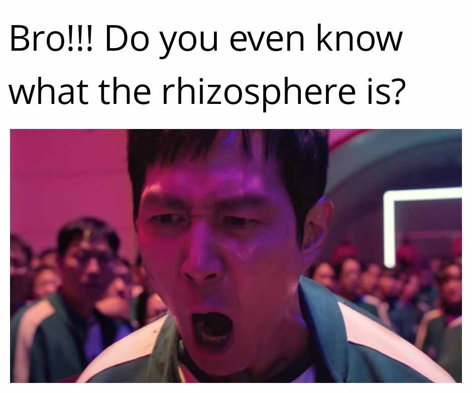 1000001650