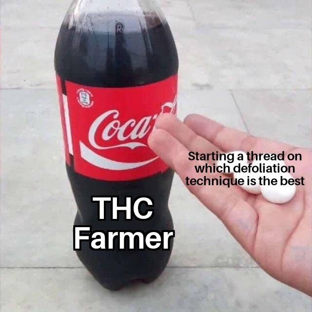 1000001668