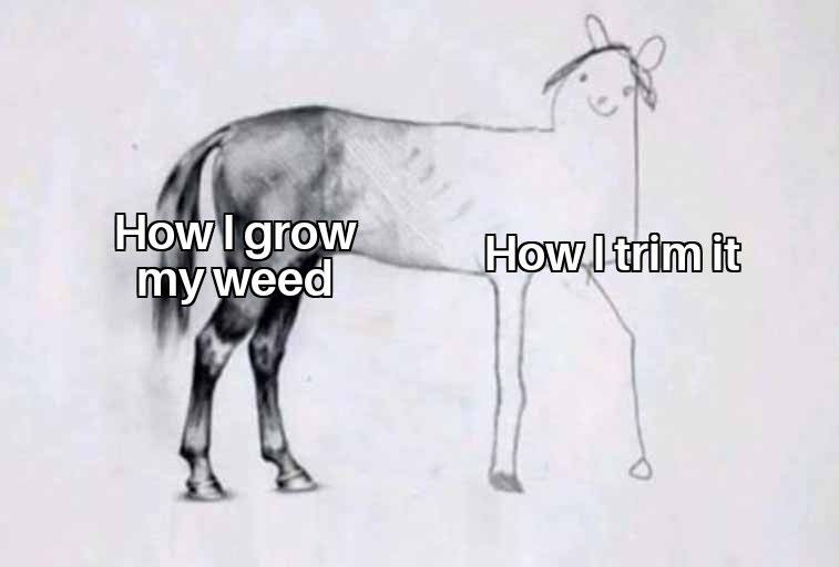 1000001726