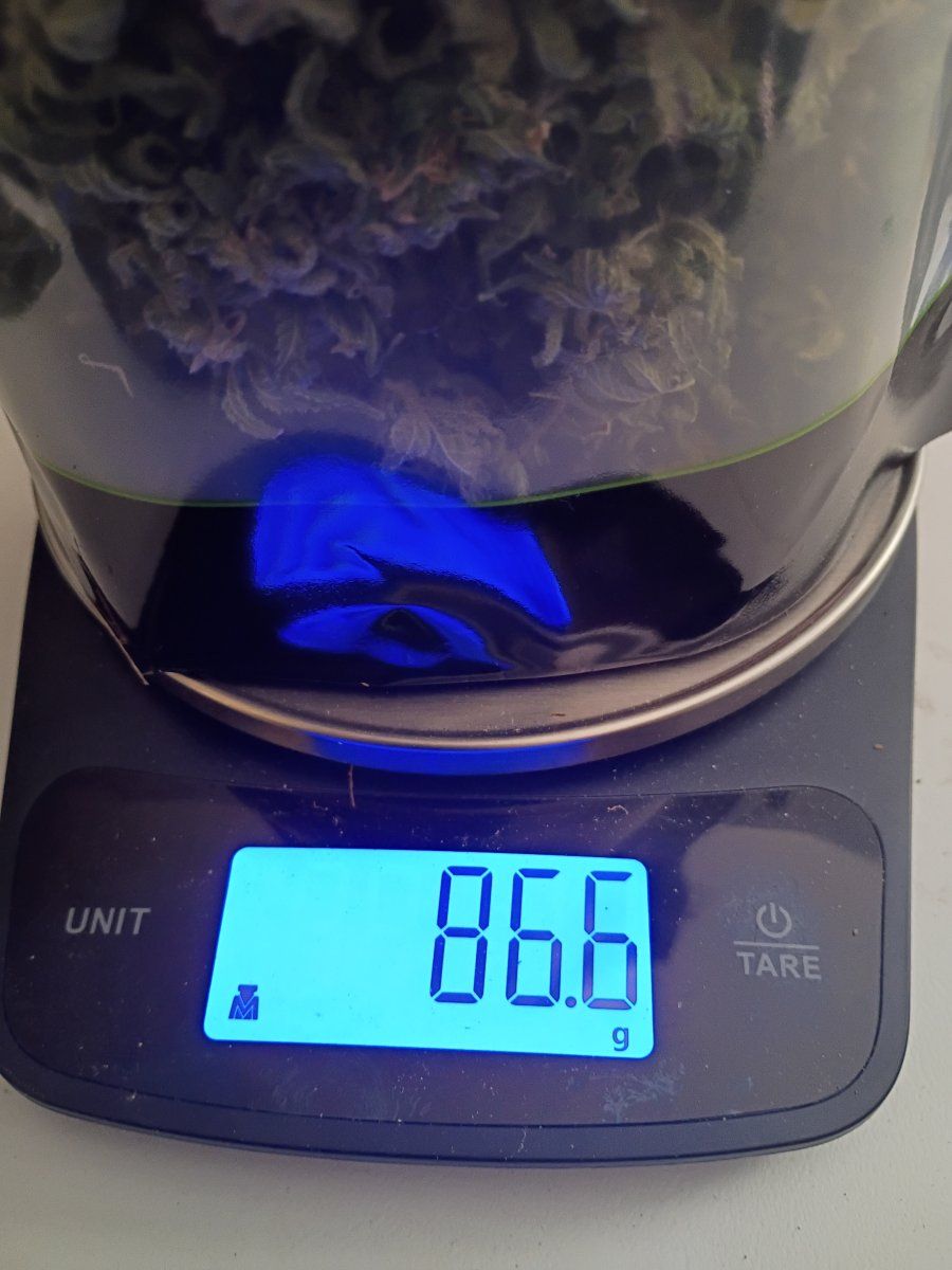 1000001883