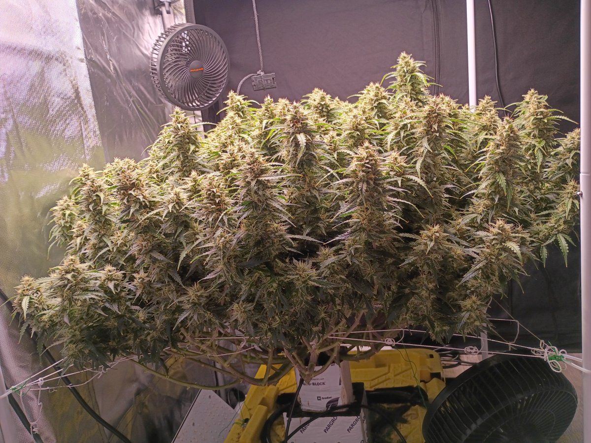 1000002053