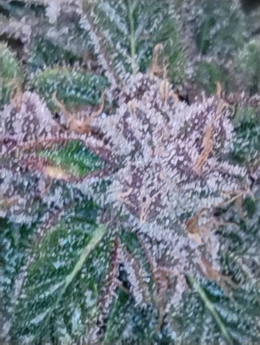1000002673