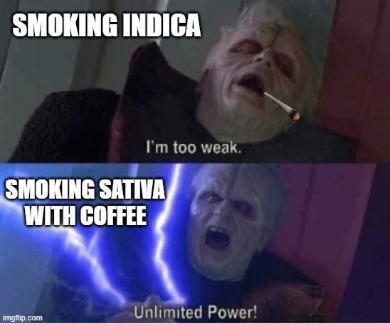 1000008567